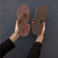 Reef Draftsmen